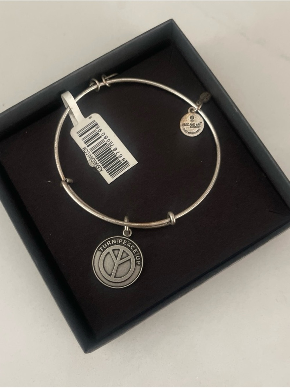 Alex and Ani Silver Tone 'Turn/Peace Up' Charm Bangle